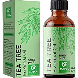 Household - Tea Tree Oil (Maple Holistics)